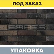 Кирпич BRAER PRO 28.09 лицевой (одинарный) М150, г.Тула. BRAER