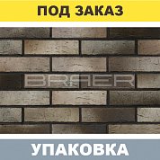Кирпич BRAER PRO 14.04.1 лицевой (одинарный) М150, г.Тула. BRAER