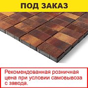 Плитка тротуарная BRAER, "Прямоугольник",&nbsp;&nbsp;200*100*60мм, Color mix Мальва (12,96 кв.м) 648шт.