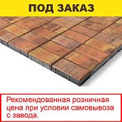 Плитка тротуарная BRAER, "Прямоугольник",&nbsp;&nbsp;200*100*40мм, Color mix Прайд&nbsp;&nbsp;(19,44 кв.м) 972шт.