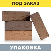  Кирпич керамический лицевой пустотелый Flаsh Мотив 1,4НФ (250*120*88мм) М175 (coral) (352шт.)
